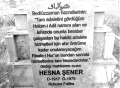 15.22, 30 Mart 2020 tarihindeki sürümün küçültülmüş hâli