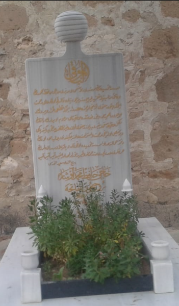 Dosya:Mehmed Avşar 3.png